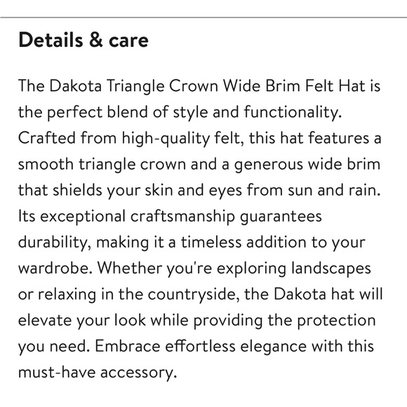 Gigi Pip Dakota Wide Brim Felt Hat NWT - Picture 5 of 8